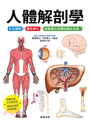 人體解剖學 | 拾書所
