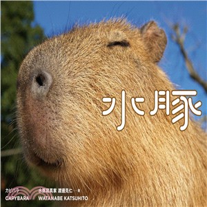 水豚 =Capybara /