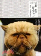 「拍貓，是很嚴肅的。」吳毅平15年貓寫真精選