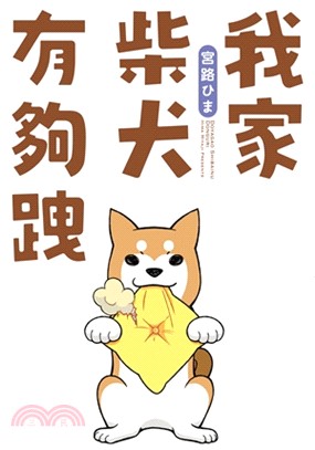 我家柴犬有夠跩