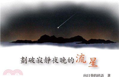 劃破寂靜夜晚的流星……