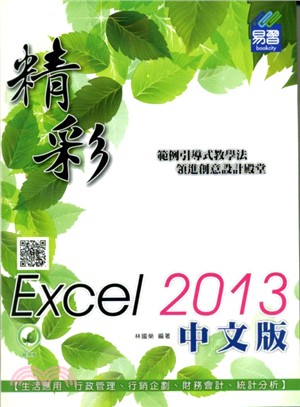 精彩Excel 2013中文版 /