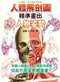 人體解剖圖：精準畫出人物姿勢
