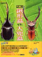 甲蟲王鍬形蟲VS.大兜蟲