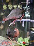 臺灣常見水鳥