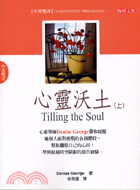 心靈沃土 =Tilling the soul : prayer penetrates our pain /