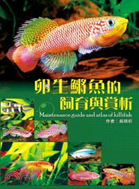 卵生鱂魚的飼育與賞析