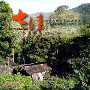 埋藏在綠色叢林中的寶藏： tjuvecekadan石板屋部落－2010順益台灣原住民博物館與部落結合特展