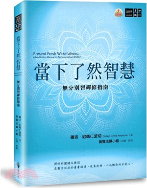 當下了然智慧：無分別智禪修指南 | 拾書所