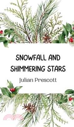 Snowfall and Shimmering Stars