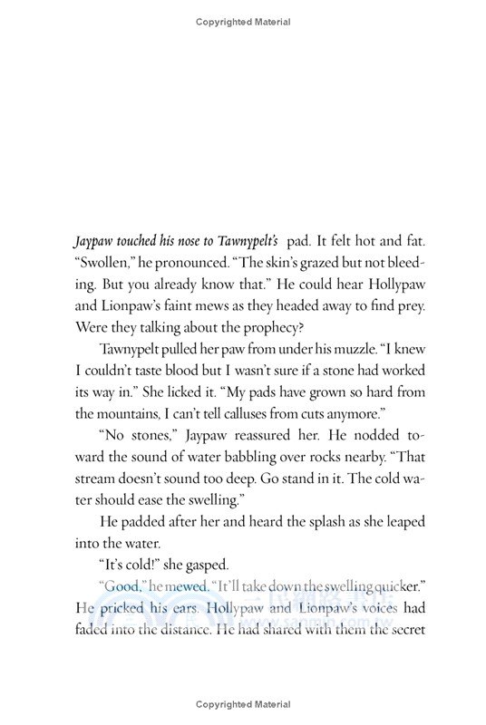 Warriors Manga: Tigerstar and Sasha #1: Into the Woods