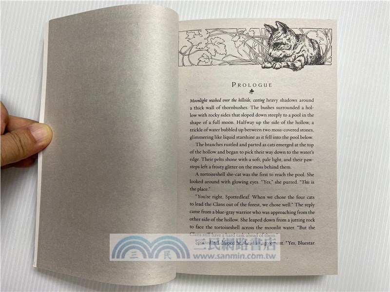 #4: Starlight (Warriors: The New Prophecy)