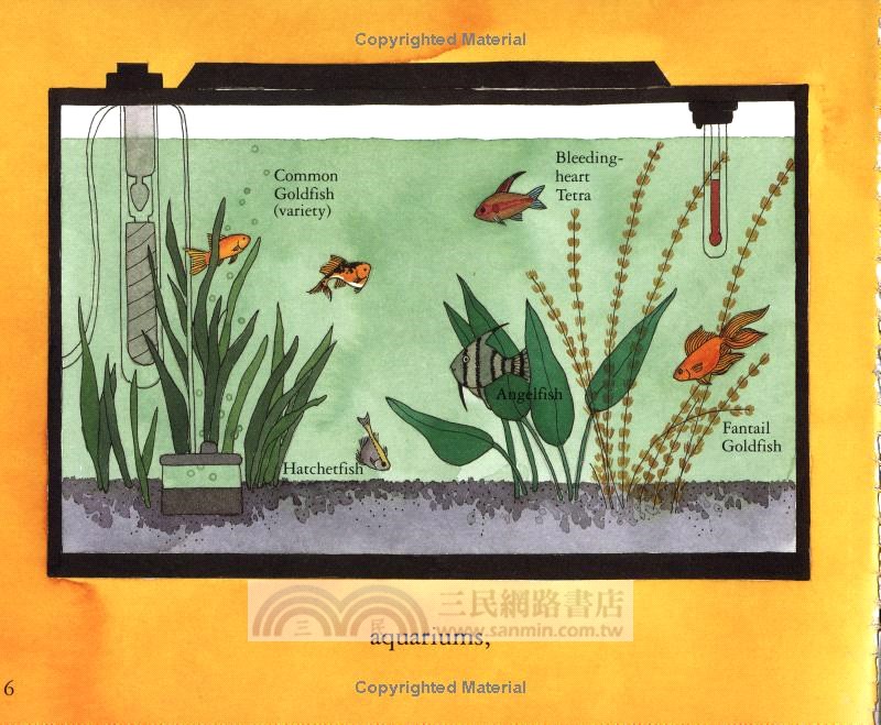 What's It Like to Be a Fish? (Stage 1)