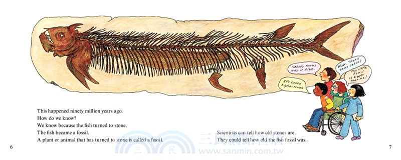 Fossils Tell of Long Ago (Stage 2)
