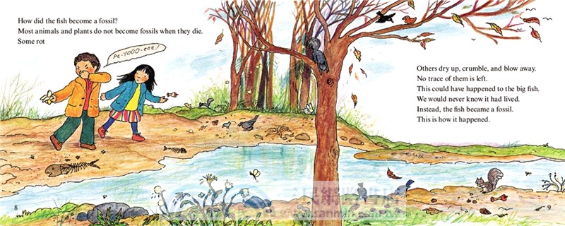 Fossils Tell of Long Ago (Stage 2)