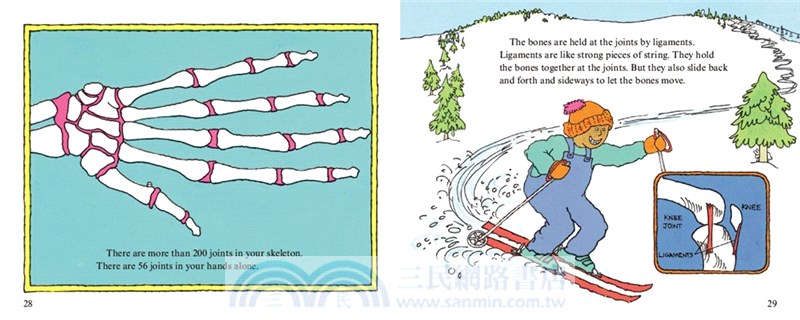 The Skeleton Inside You (Stage 2)