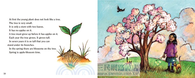 A Tree Is a Plant (Stage 1)