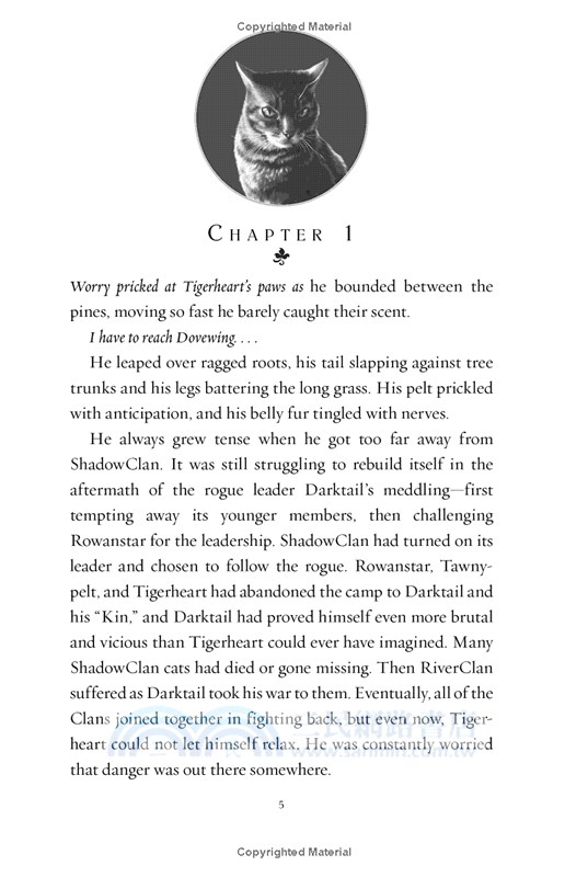 #10: Tigerheart's Shadow (Warriors Super Edition)