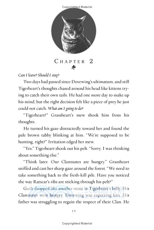 #10: Tigerheart's Shadow (Warriors Super Edition)