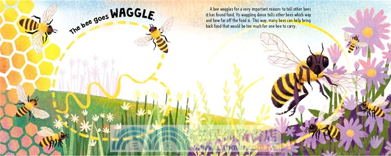 Thump Goes the Rabbit ― How Animals Communicate (Stage 1)