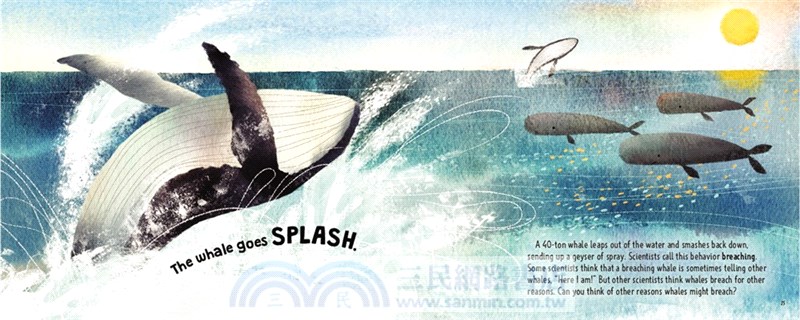 Thump Goes the Rabbit ― How Animals Communicate (Stage 1)