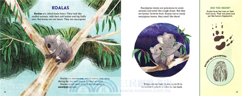 Super Marsupials: Kangaroos, Koalas, Wombats, and More (Stage1)