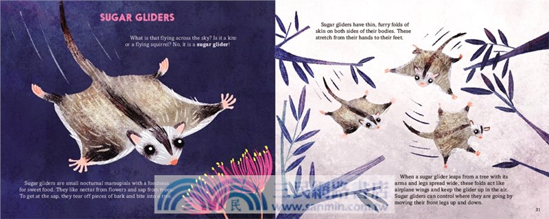 Super Marsupials: Kangaroos, Koalas, Wombats, and More (Stage1)