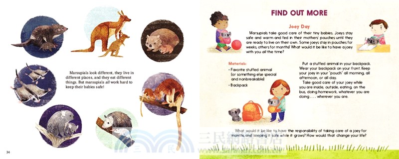 Super Marsupials: Kangaroos, Koalas, Wombats, and More (Stage1)