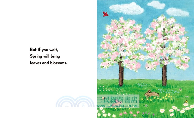When Spring Comes Board Book
