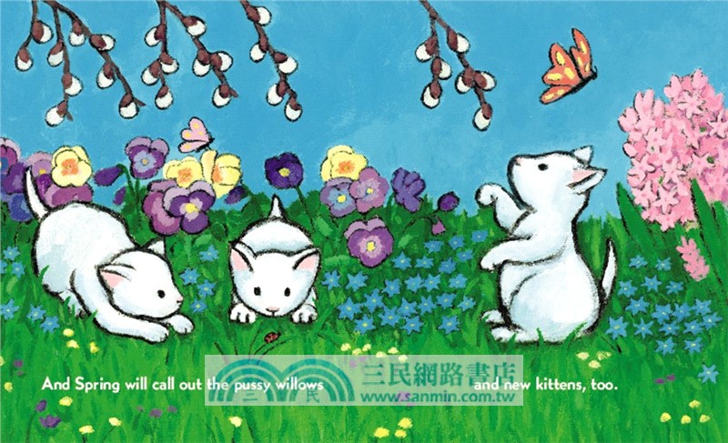 When Spring Comes Board Book