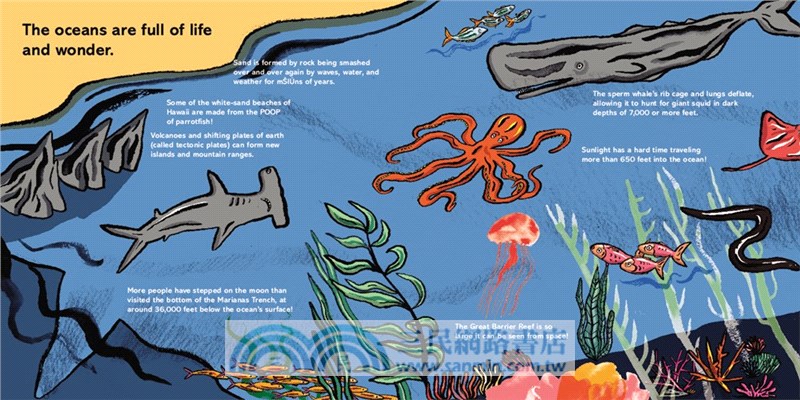 The Ocean in Your Bathtub