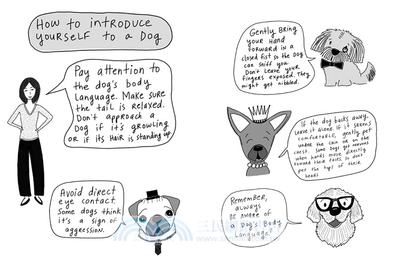 Only Only Marisol Rainey (Maybe Marisol #3)