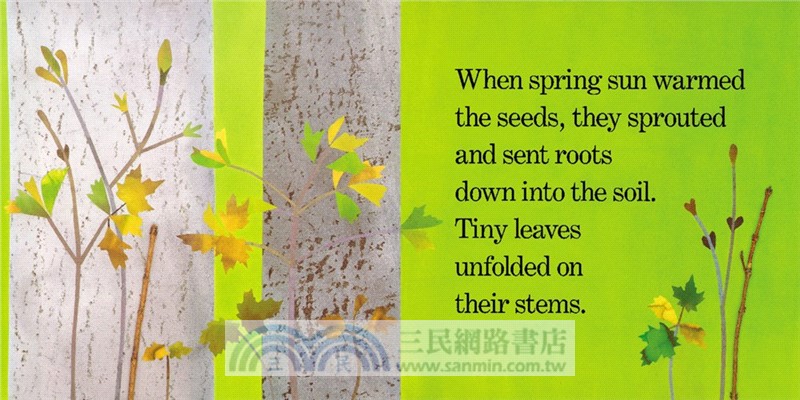 Red Leaf, Yellow Leaf