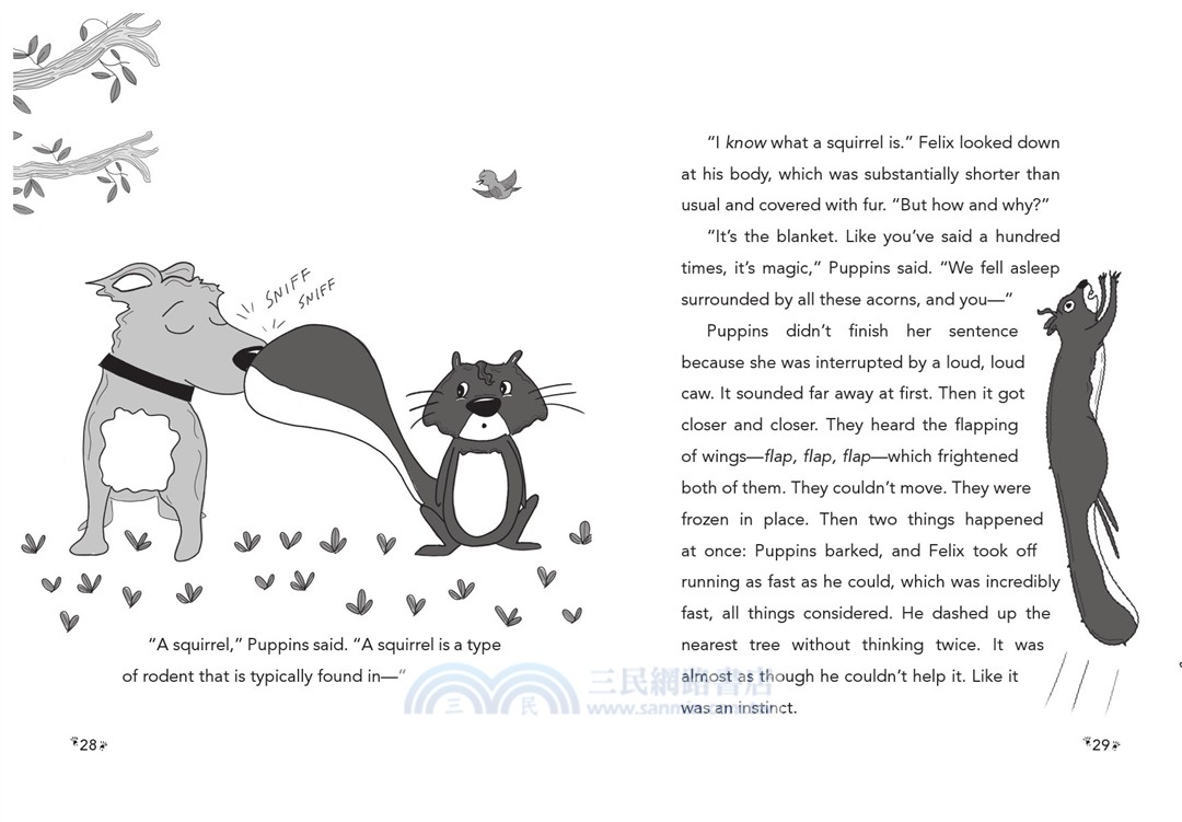 Felix Powell, Boy Squirrel