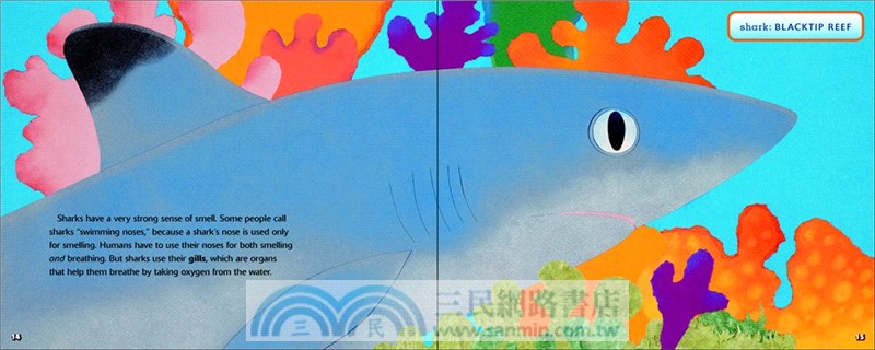 Sharks Have Six Senses (Stage 2)