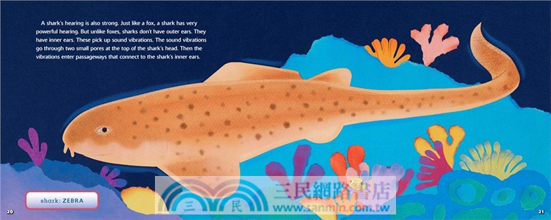 Sharks Have Six Senses (Stage 2)