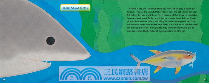 Sharks Have Six Senses (Stage 2)