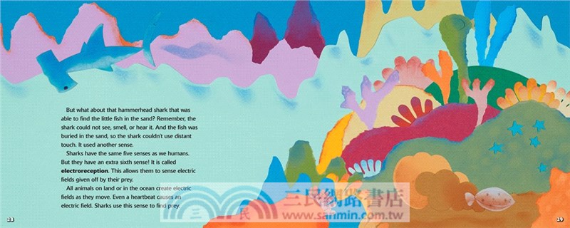 Sharks Have Six Senses (Stage 2)