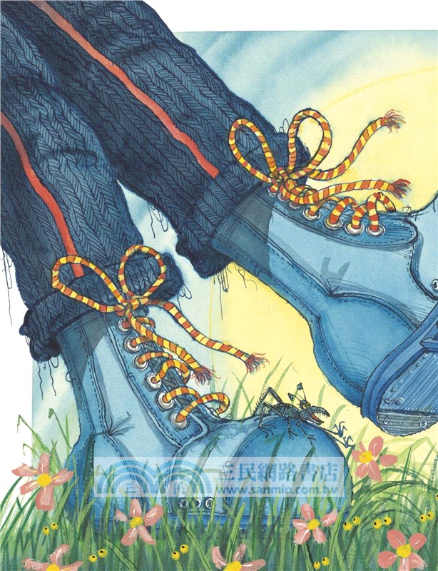 Winnie and Wilbur The Bug Safari (1平裝+1CD)