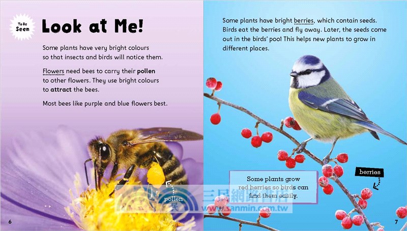 inFact Level 7: Colour Codes