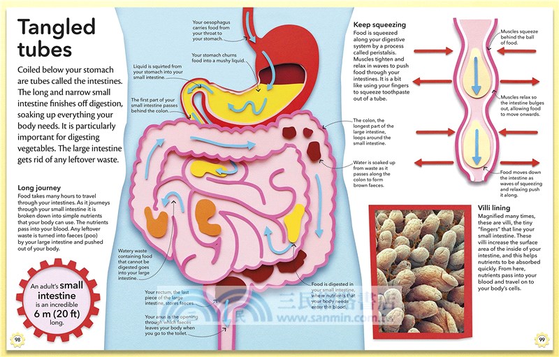 My Amazing Body Machine : A colourful visual guide to how your body wo