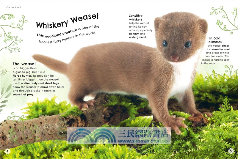 Animals Up Close: Animals as you've Never Seen them Before