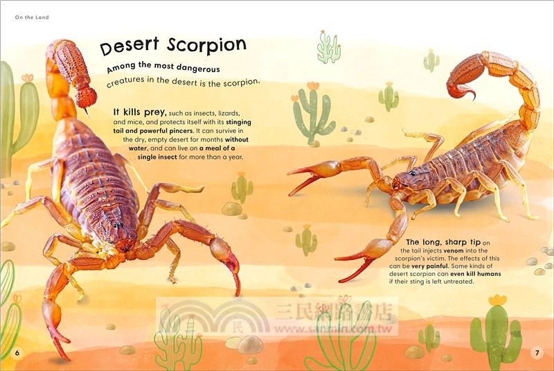 Animals Up Close: Animals as you've Never Seen them Before