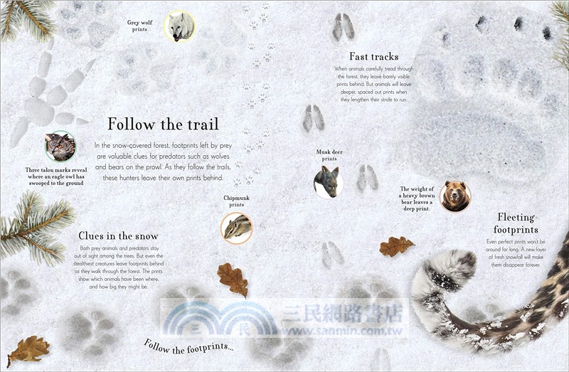 Through the Animal Kingdom: Discover Amazing Animals and Their Remarkable Homes