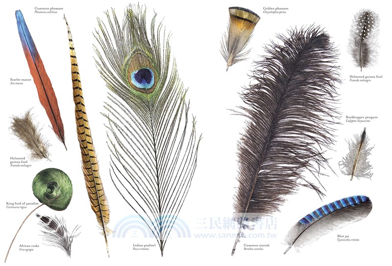 Hidden Planet (精裝本)