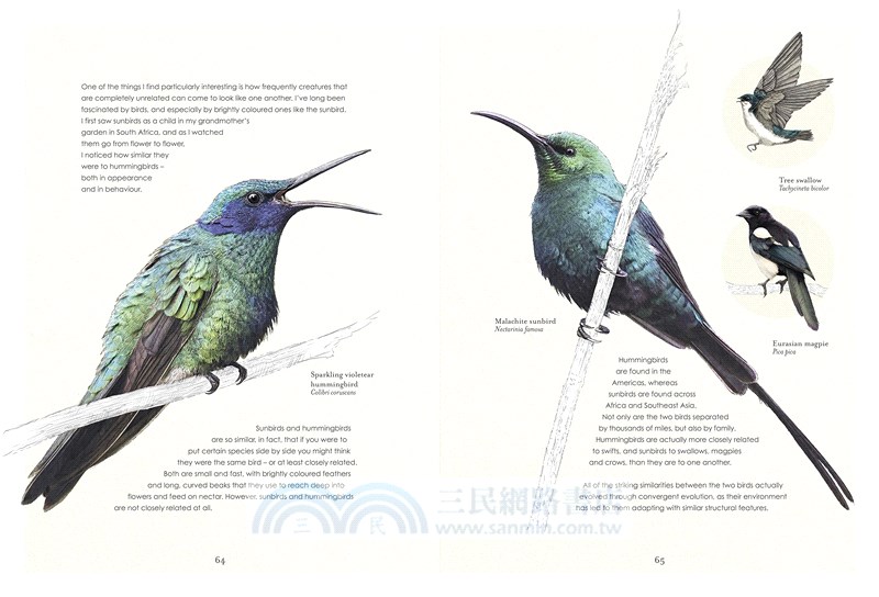 Hidden Planet (精裝本)