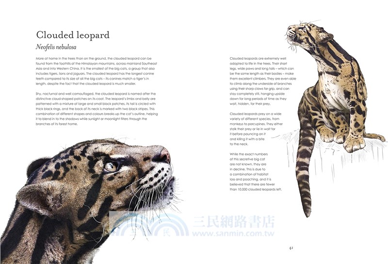 Hidden Planet (精裝本)