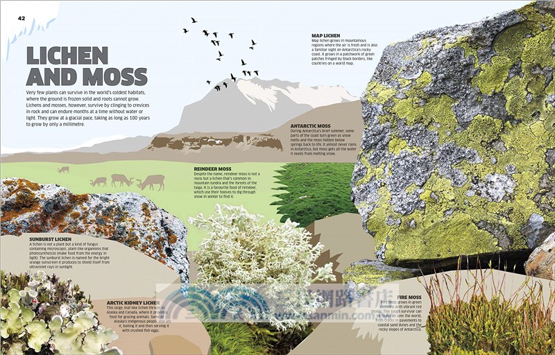 Ice: Chilling Stories from a Disappearing World