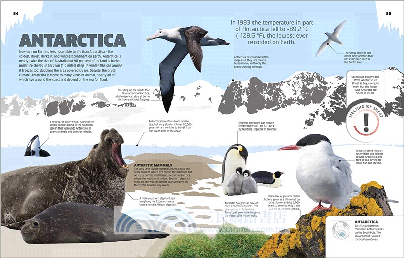 Ice: Chilling Stories from a Disappearing World