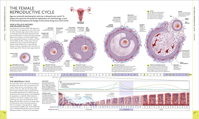 The Science of Pregnancy: The Complete Illustrated Guide from Conception to Birth